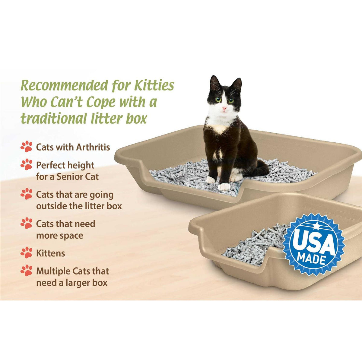 Senior Cat Litter Box G379513