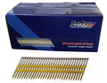 3x22 inch 304 Stainless Steel 21 Degree Plastic Strip Nails W567