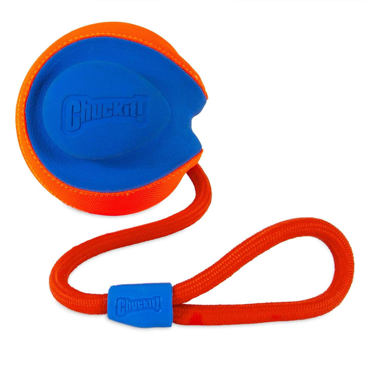Dog Disc J937