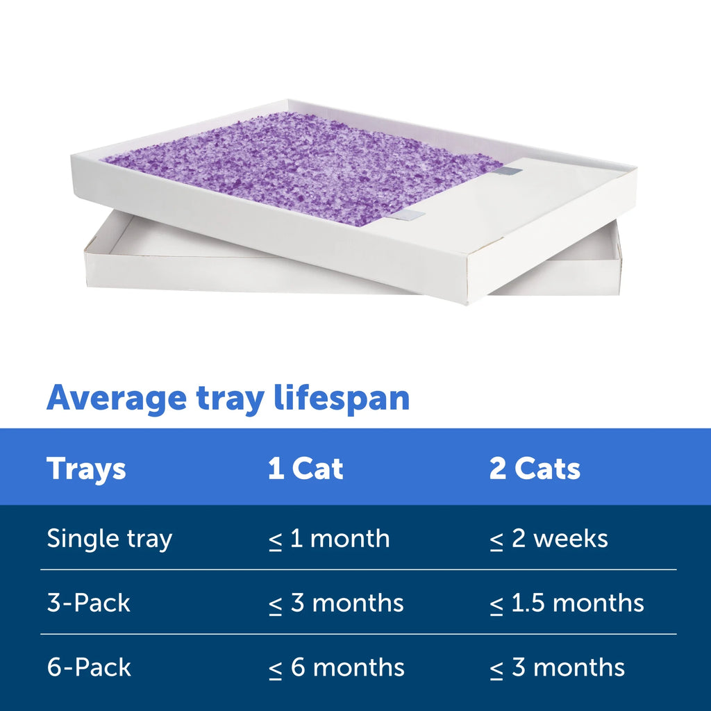 Lavender Scent Silica Crystals Cat Litter Trays 6-Pack T55981