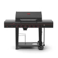 6-Burner Gas Grill with Thermometer P9216