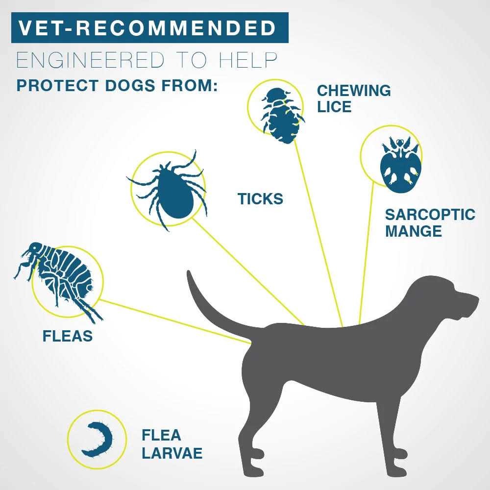 Flea and Tick Collar for Large Dogs Over 18 Pounds U225