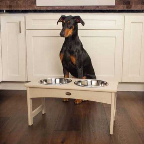 Pet Feeder C53253