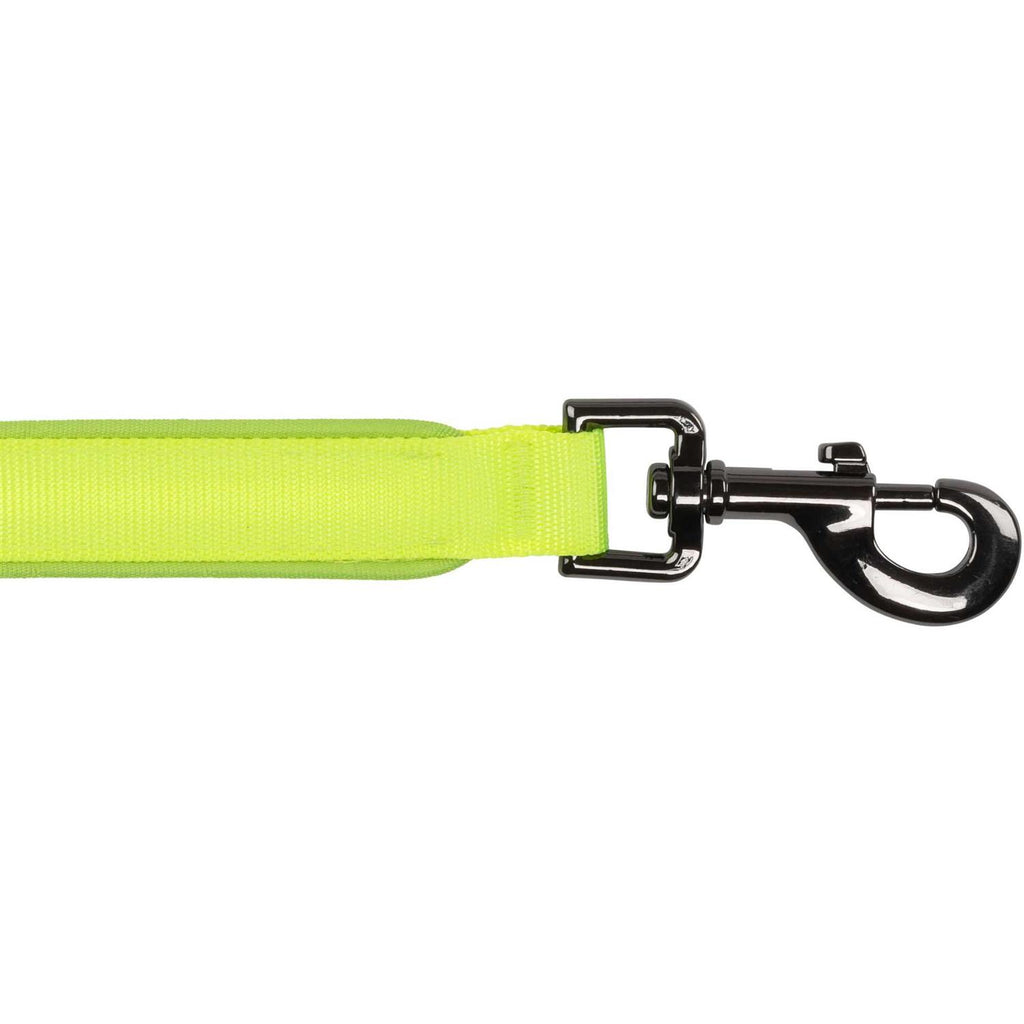 Rechargeable LED Leash W4293
