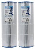 Replacement Pool Filter 2 Pack N547