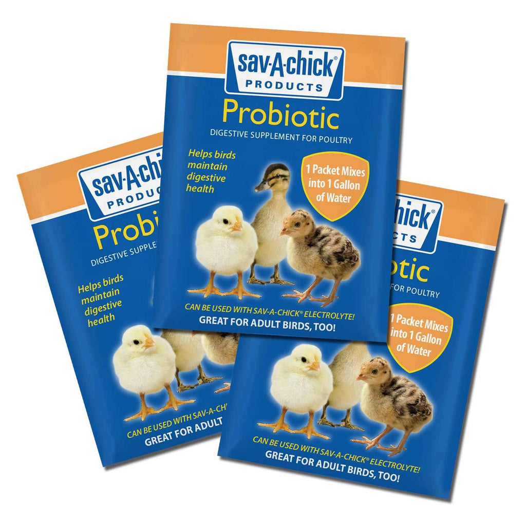 Probiotic Supplement U1168