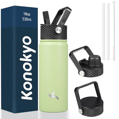 22oz Stainless Steel Insulated Water Bottle H815117