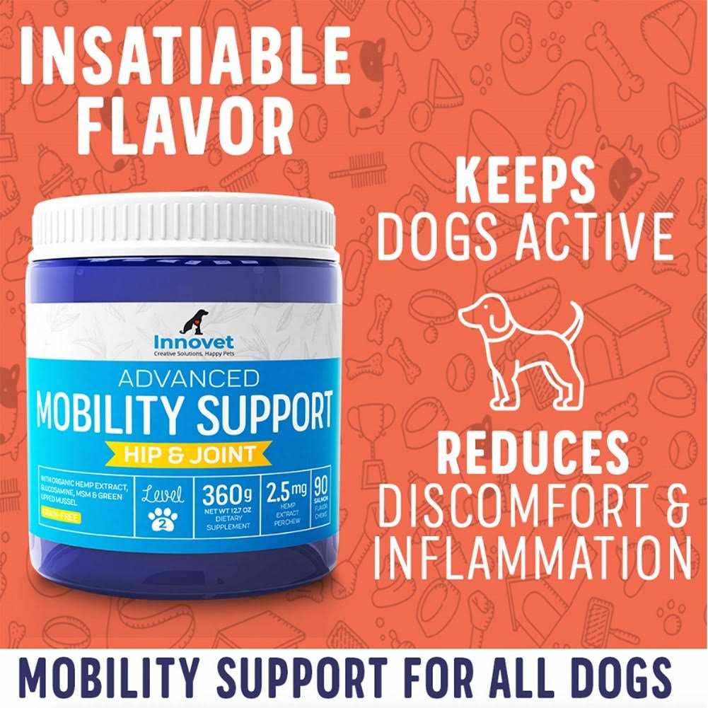 Hemp Hip & Joint Supplement for Dogs W99340