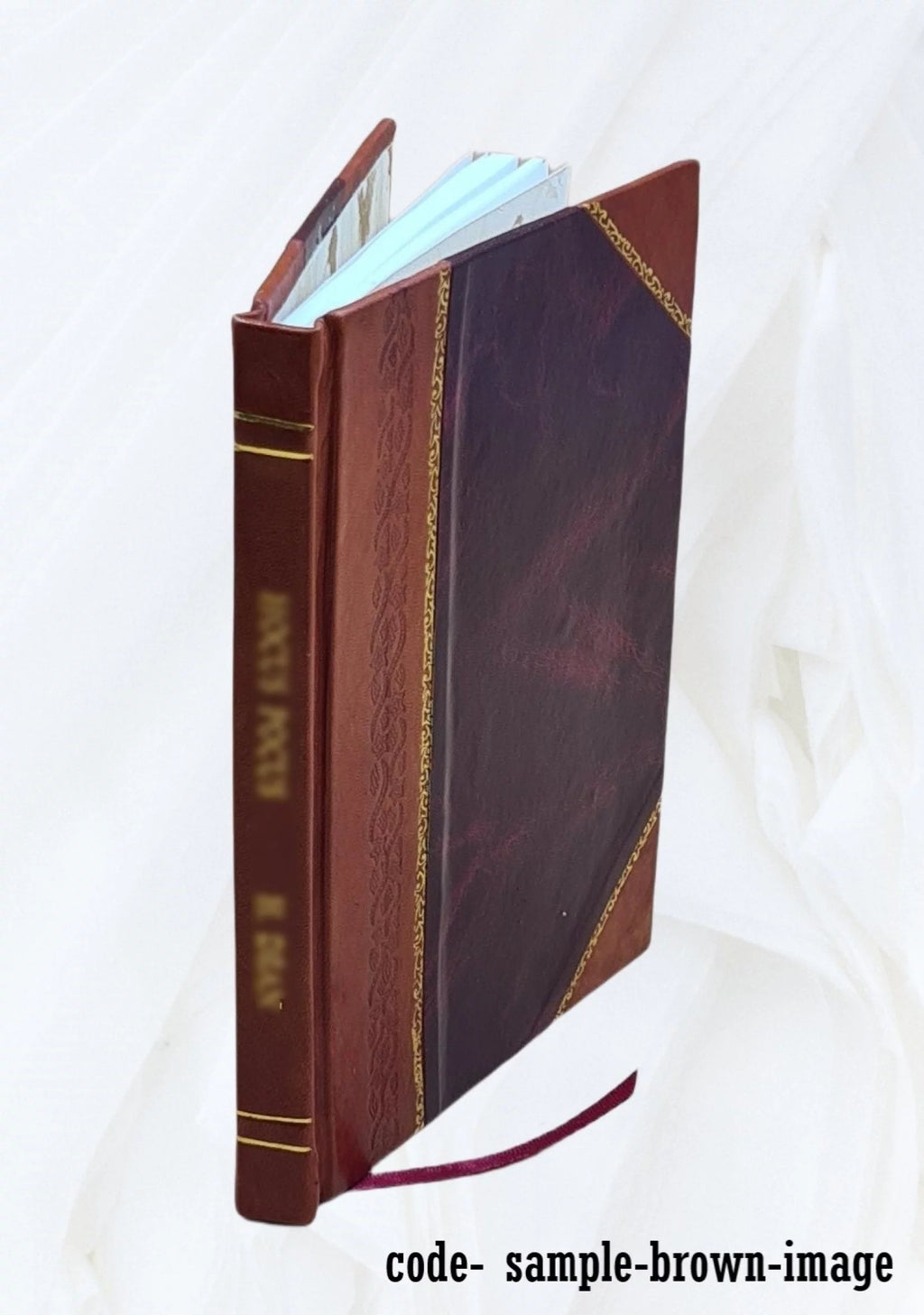 Geology Leather Bound L3859