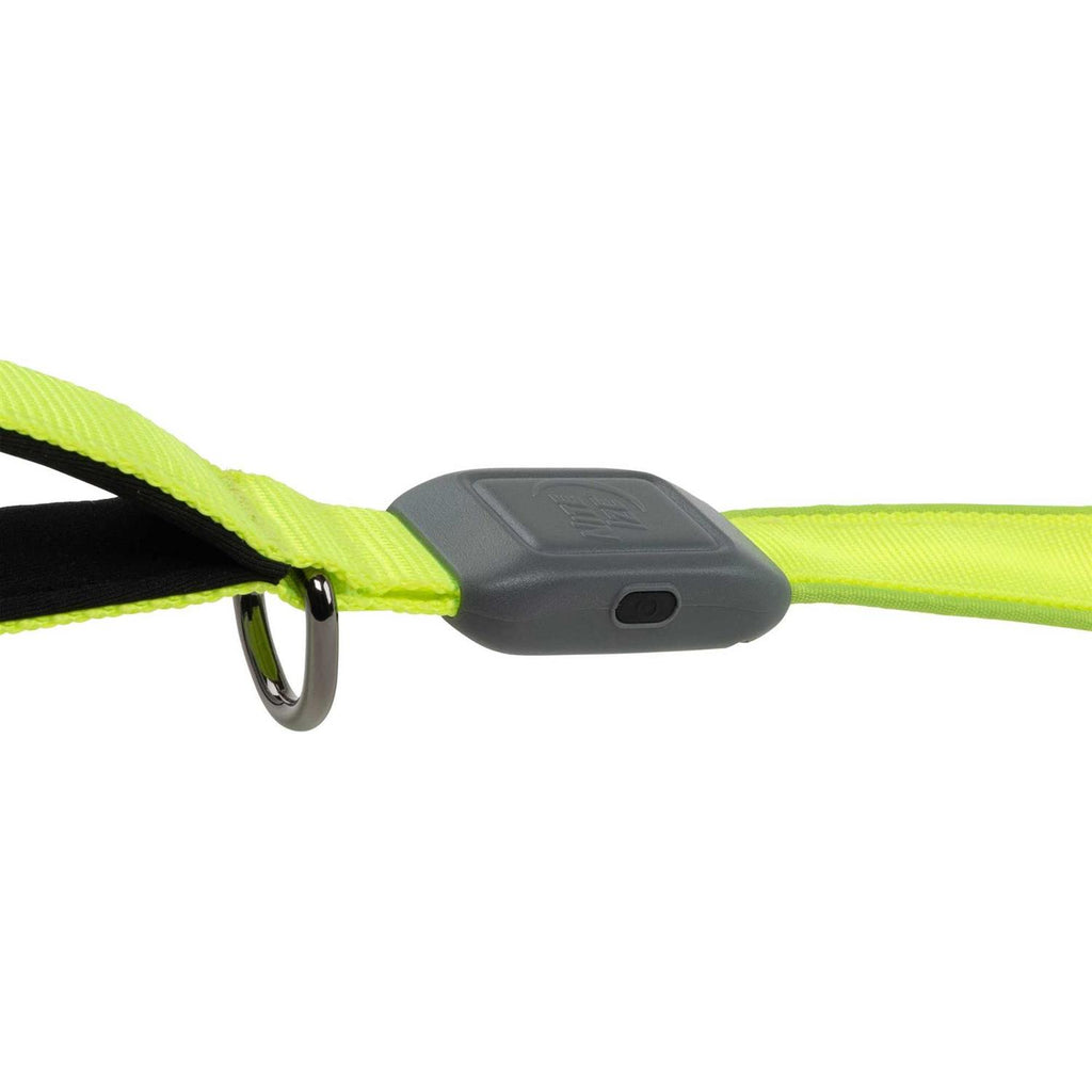 Rechargeable LED Leash W4293