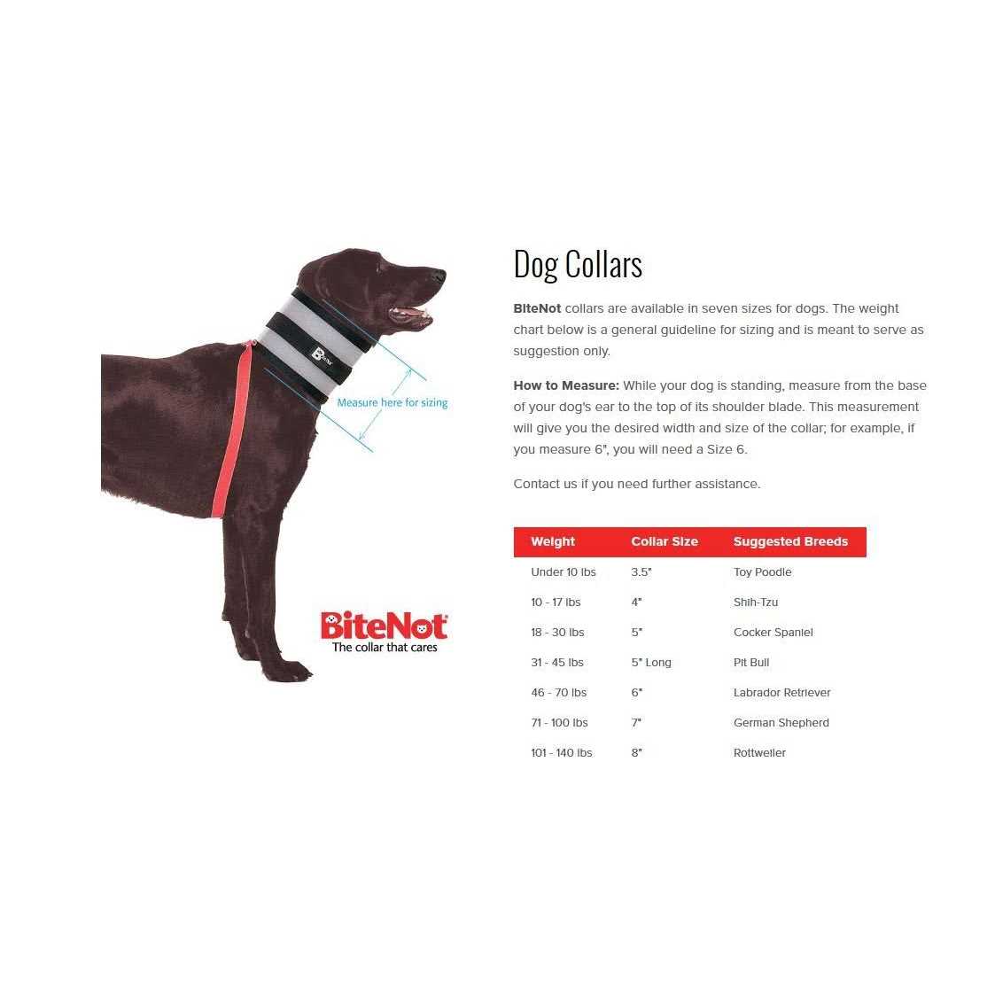 Pet Collar Q461