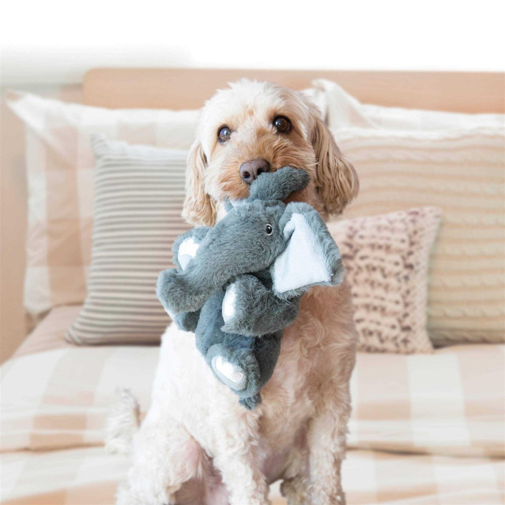 Dog Toy J86212
