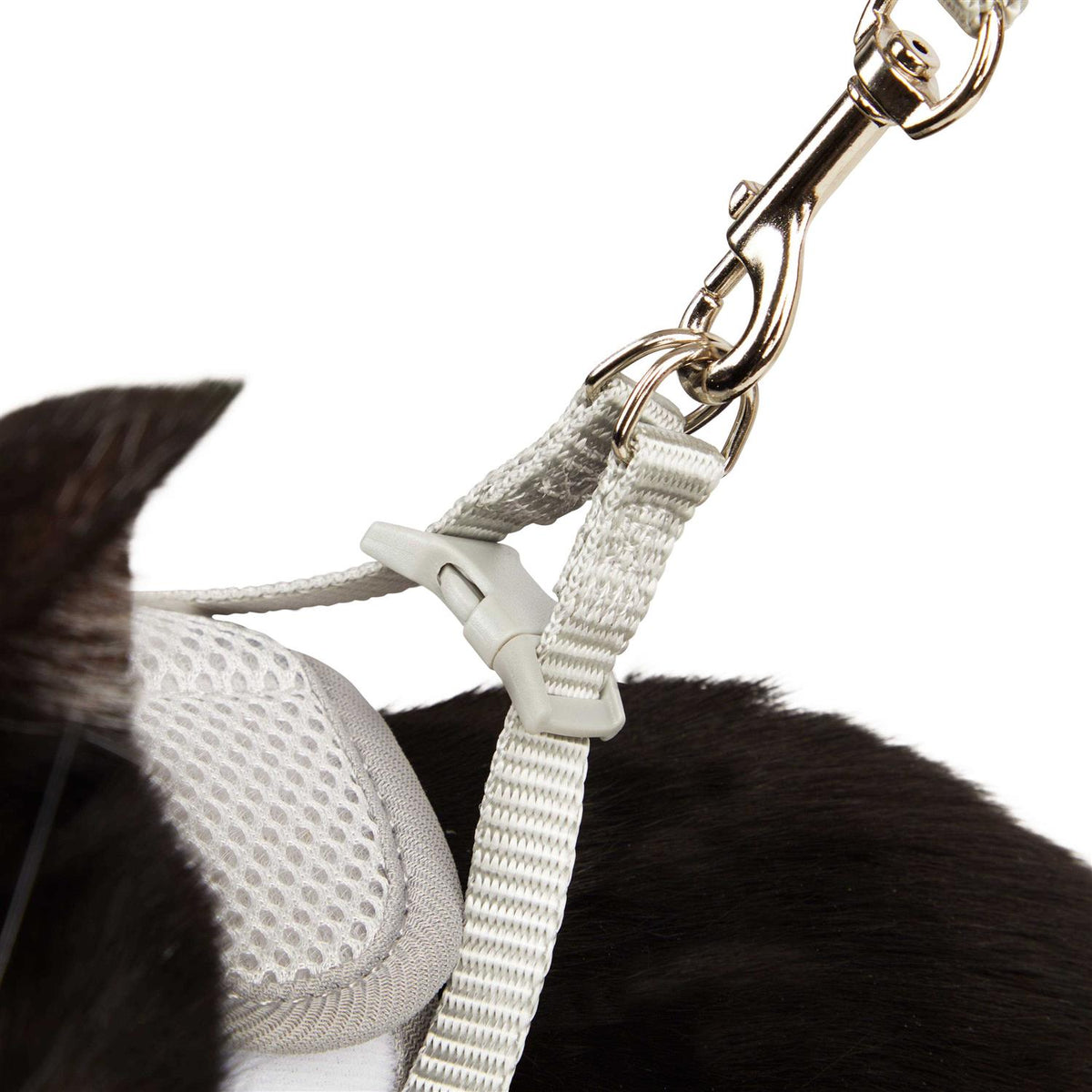Gray Cat Harness F712
