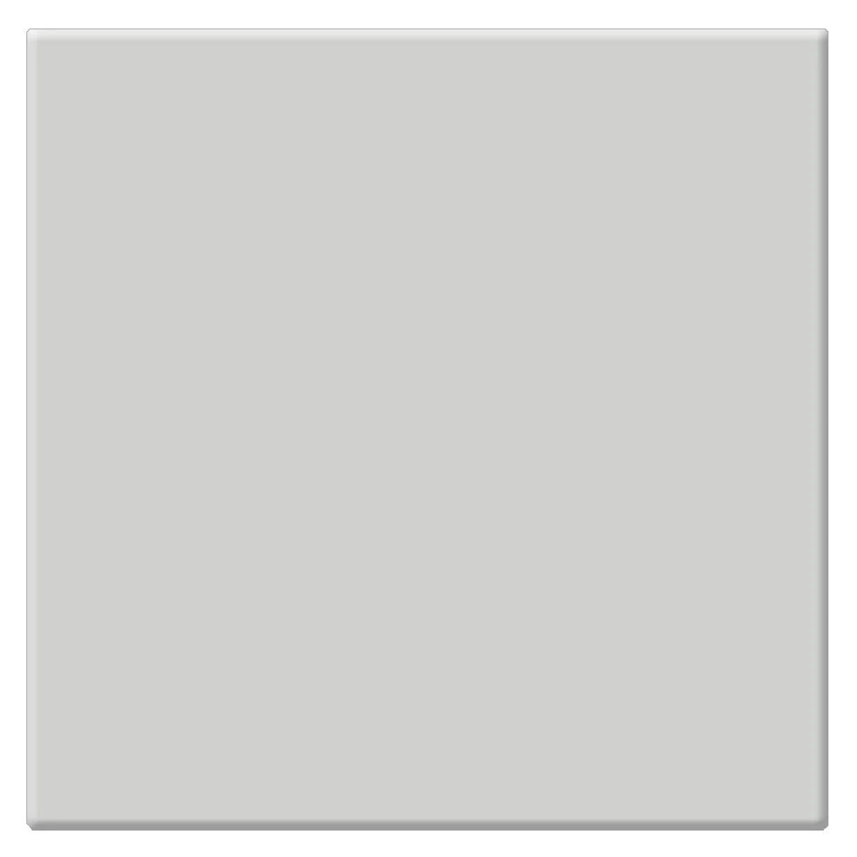 6.6 x 6.6 Low Light Dispersion Glass Filter R54751