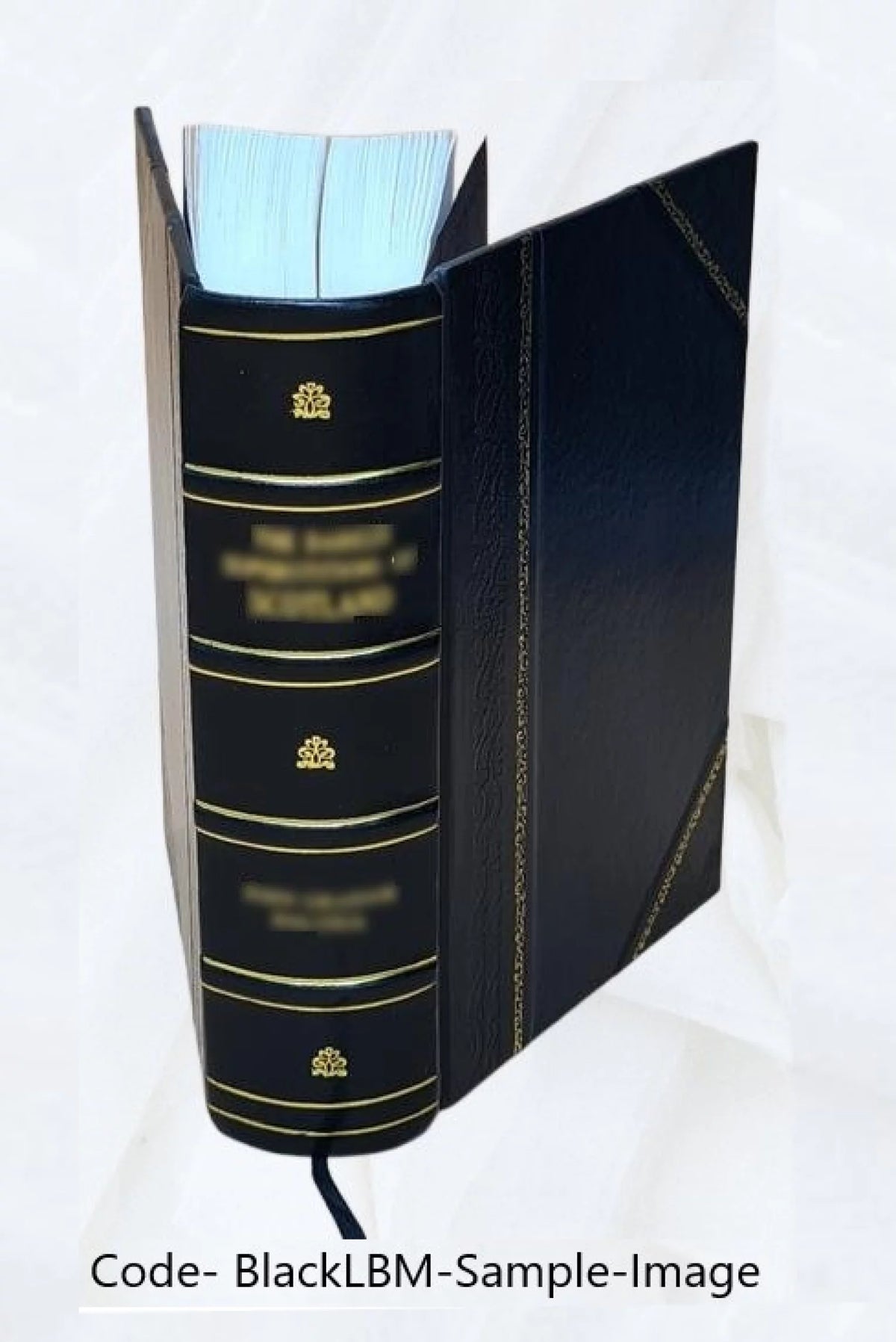 Calendar of State Papers Domestic Series Charles II 1682 Leather Bound P657