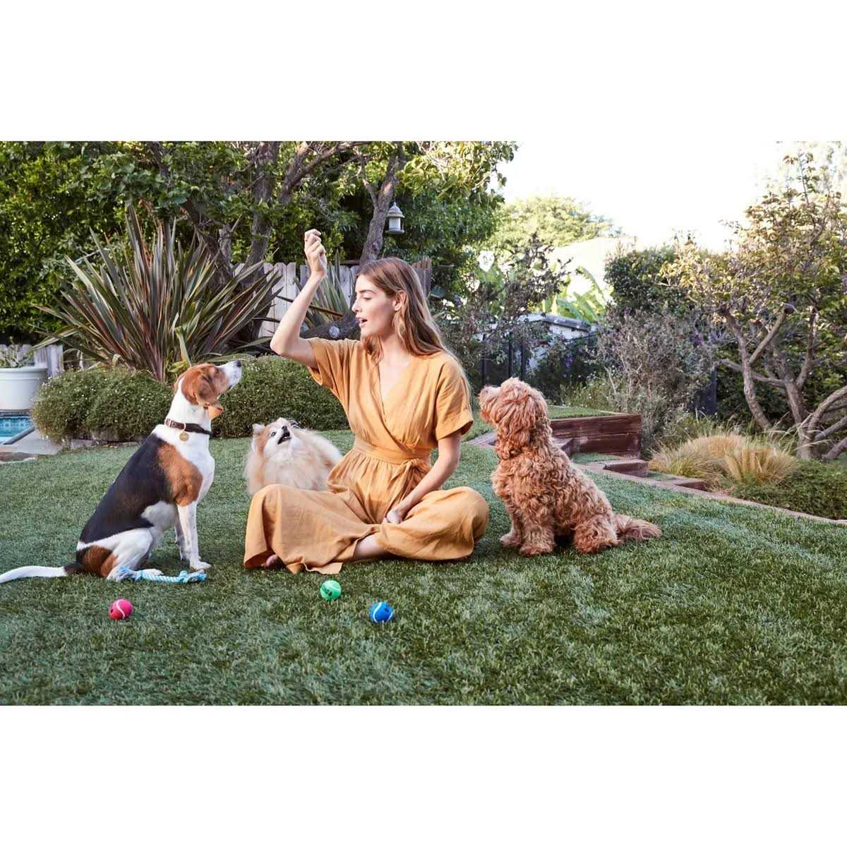 Organic Chicken Dog Treats 175 Treats O683031