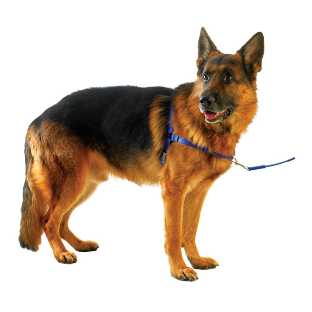 Pet Harness F48899