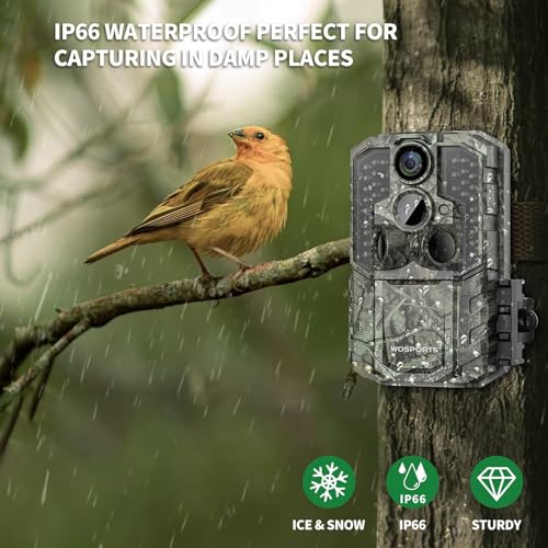 48MP 4K Trail Camera with Night Vision IP66 Waterproof E9479
