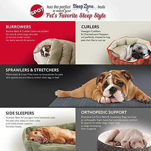Quilted Oval Cuddler Pet Bed R99053
