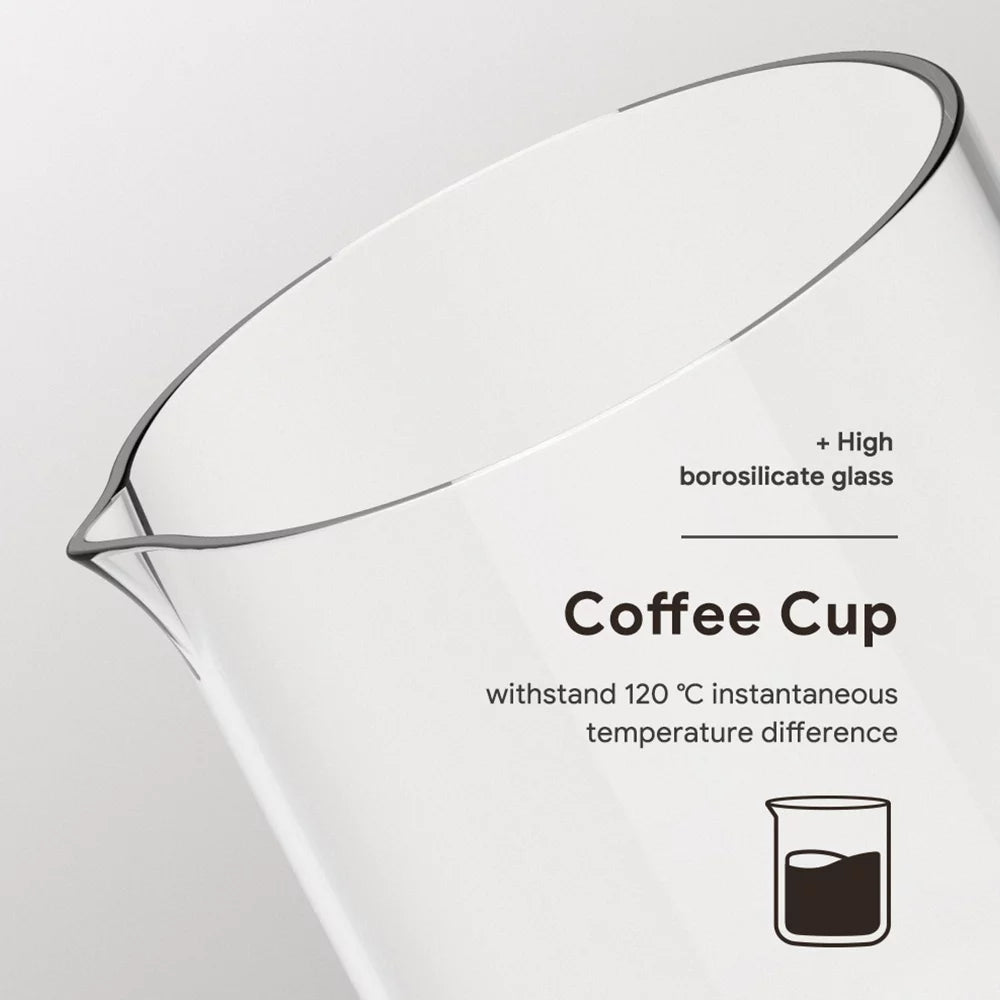 Cold Brew Coffee Maker Borosilicate Glass 300ml D3529