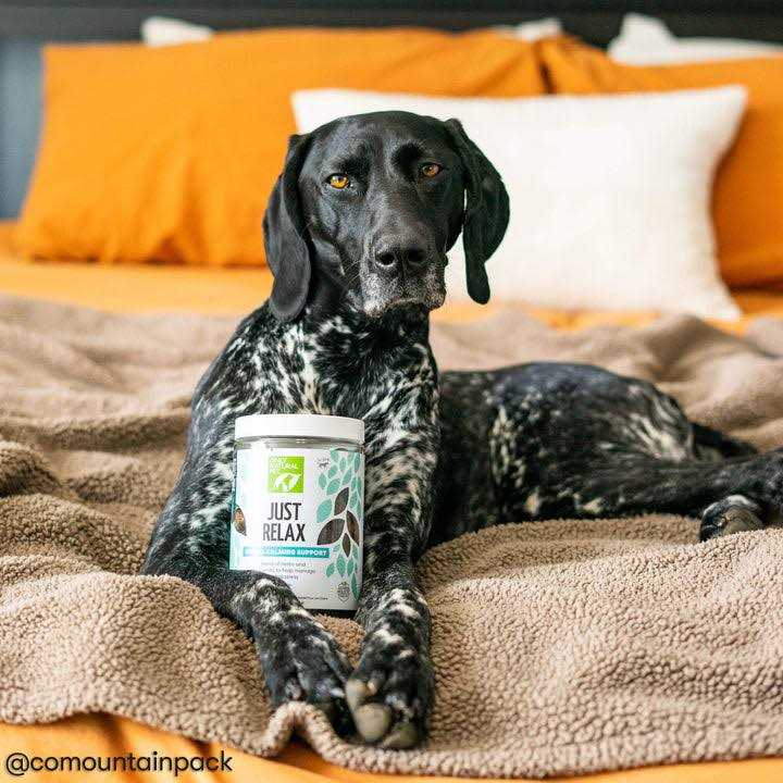 Herbal Calming Soft Chews Y760