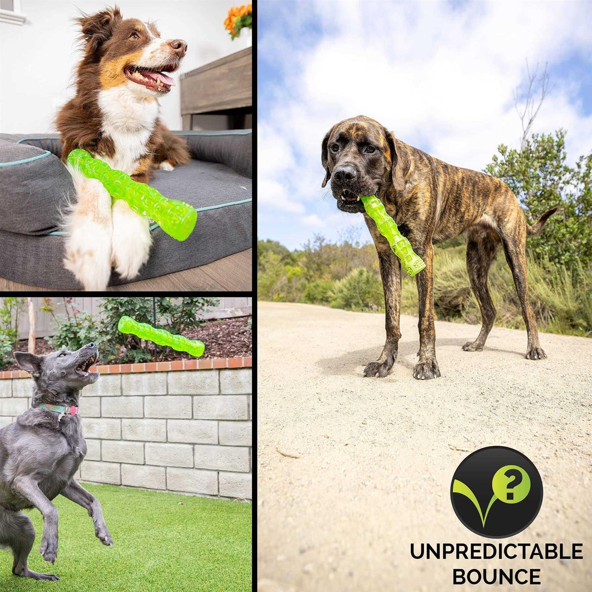 Dog Toy Stick P149