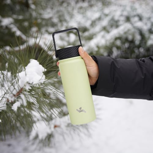 22oz Stainless Steel Insulated Water Bottle H815117