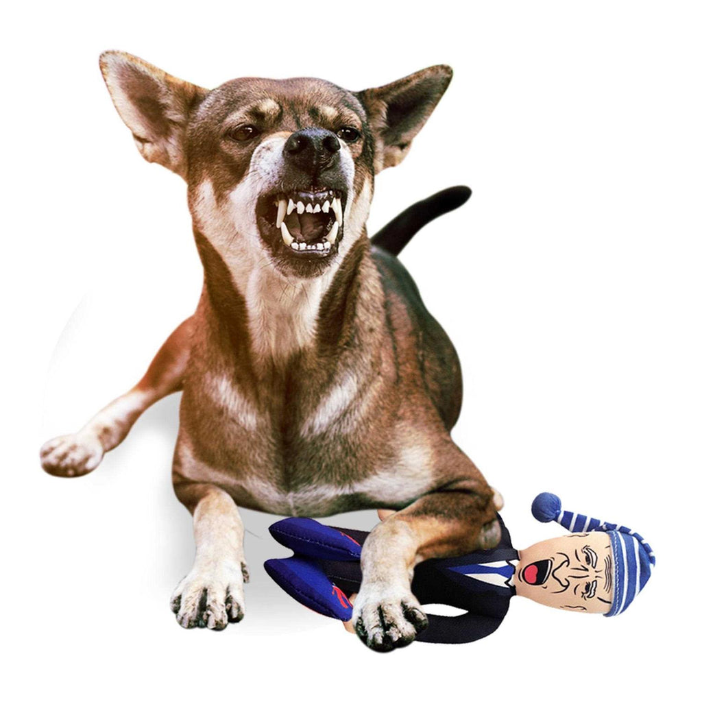 Plush Dog Chew Toy with Squeaker O57933