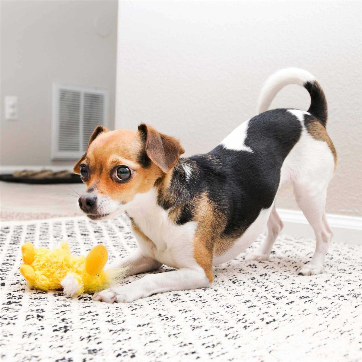 Duck Plush Dog Toy P904