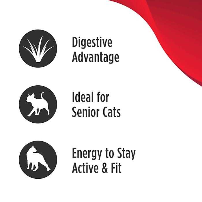 Grain Free Turkey Dry Cat Food K477143