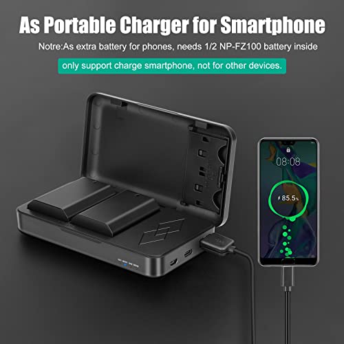 NP-FZ100 Battery and Charger 2 Pack E575745