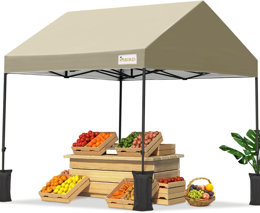 10'x10' Pop up Canopy Tent with 4 Sand Bags and Rolling Case D9723