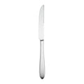 Stainless Steel Steak Knife O424540