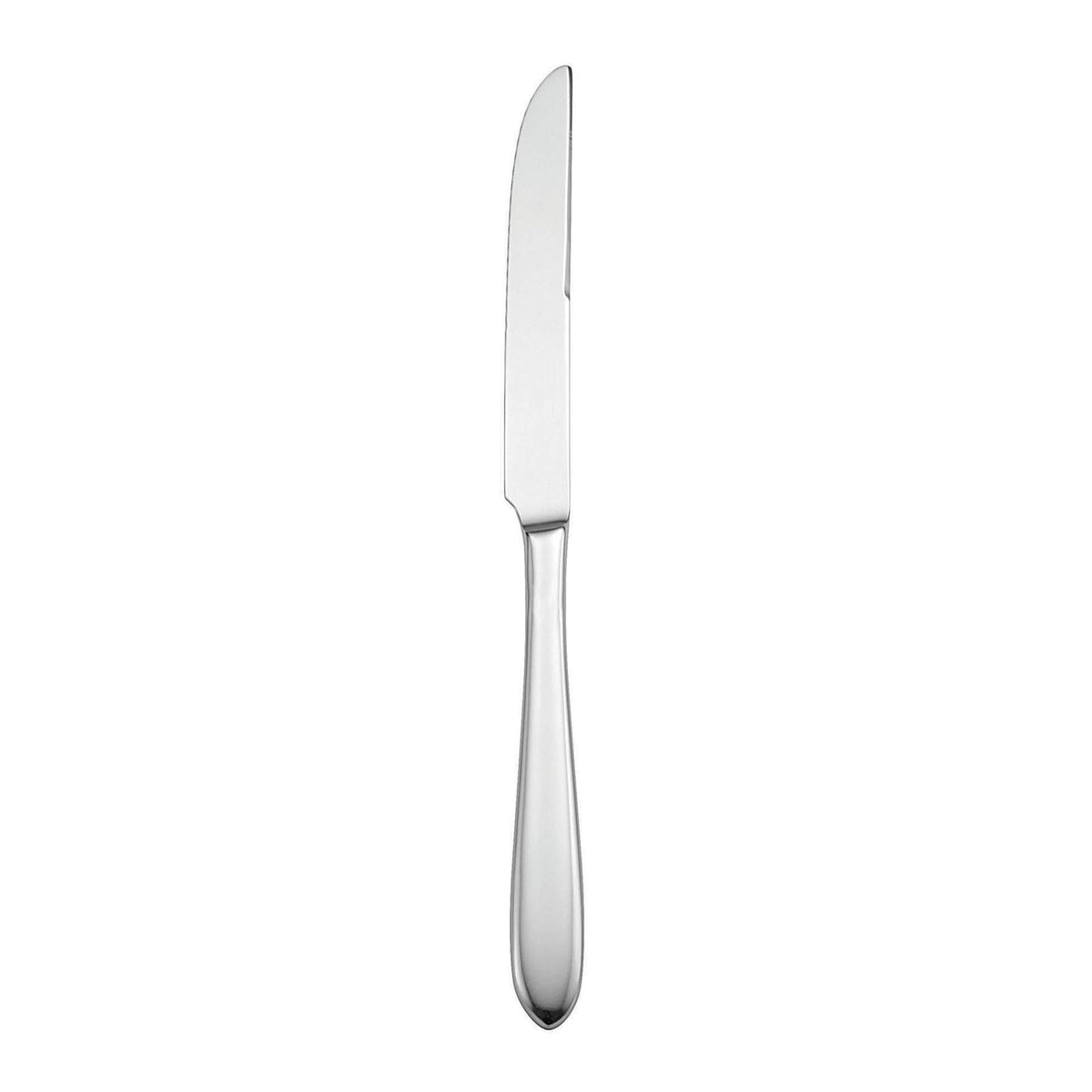 Stainless Steel Steak Knife O424540