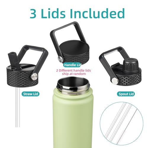 22oz Stainless Steel Insulated Water Bottle H815117