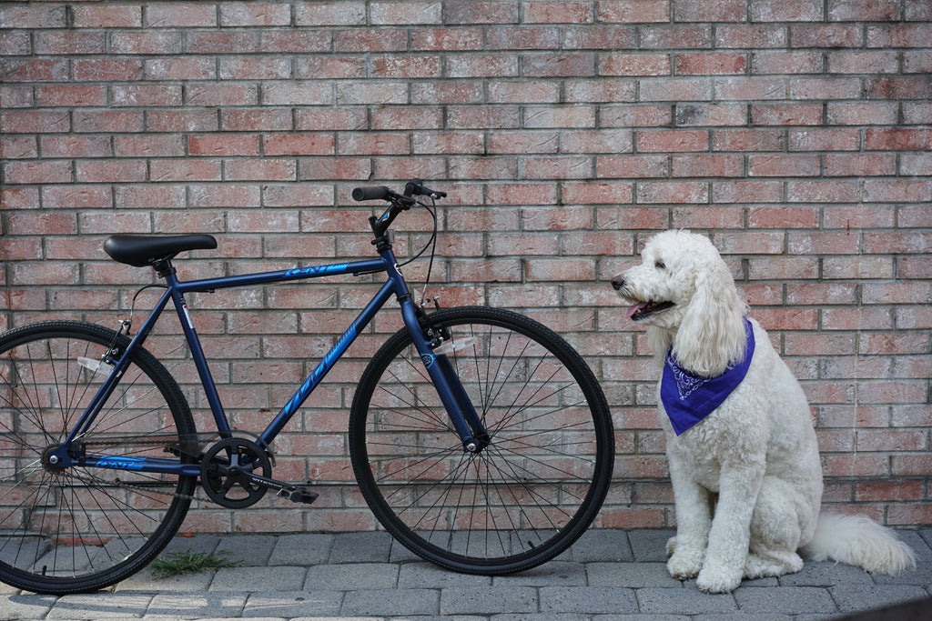 Blue 700c Bike C329361