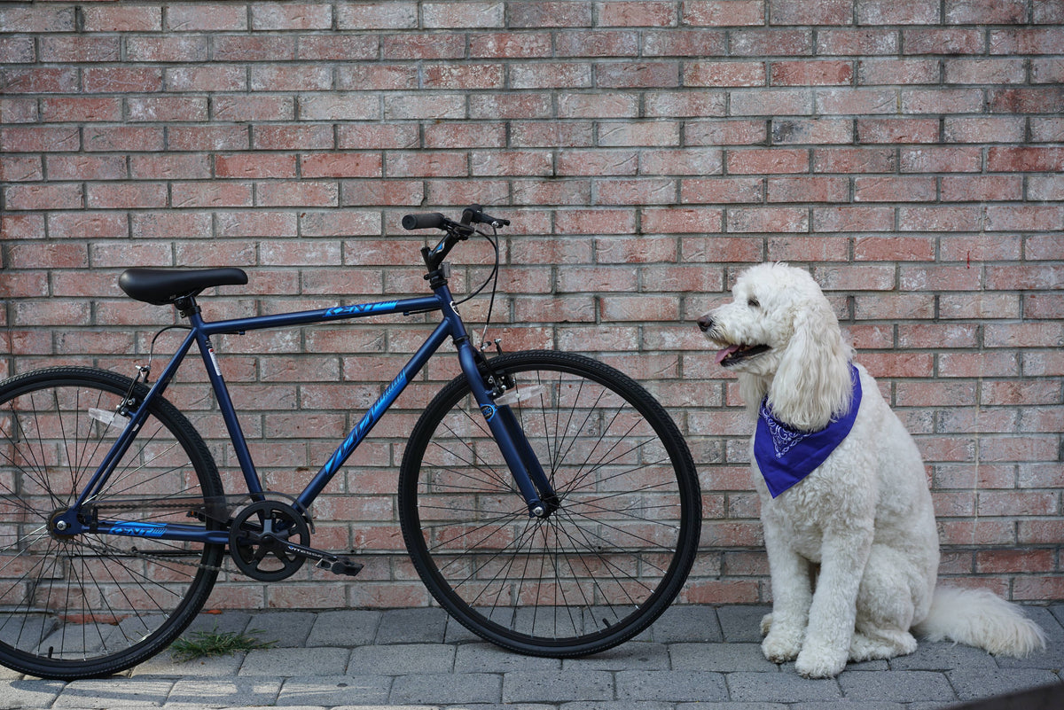 Blue 700c Bike C329361