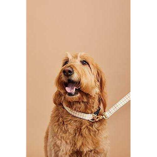 Gingham Dog Collar B23183