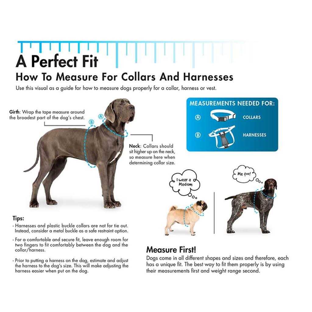 Nylon Pet Collar W3001