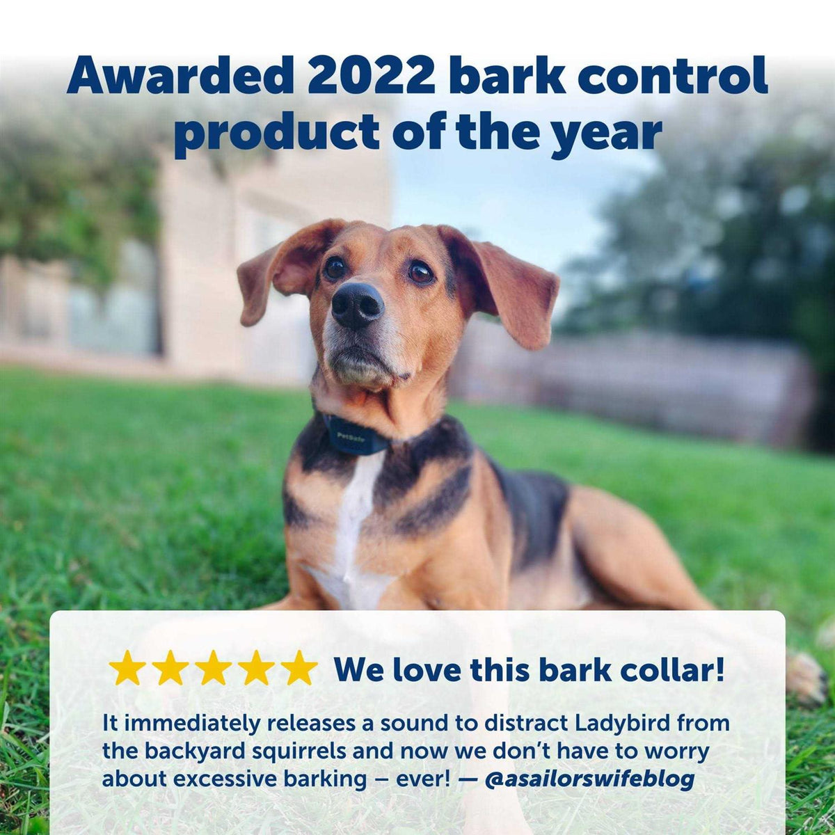 Audible Bark Dog Collar A3812