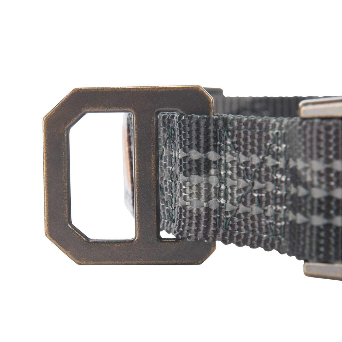 Dog Collar S61204