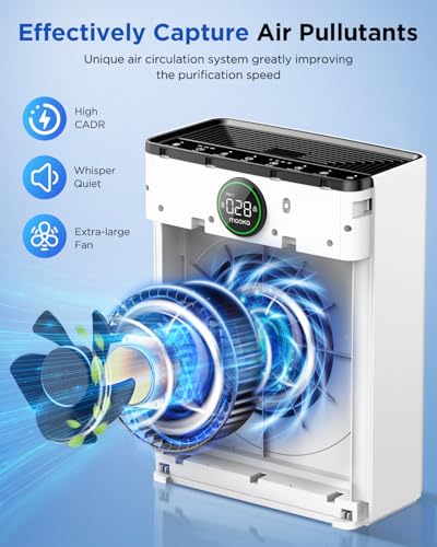 Air Purifier with Washable Filter, PM 2.5 Display C21704