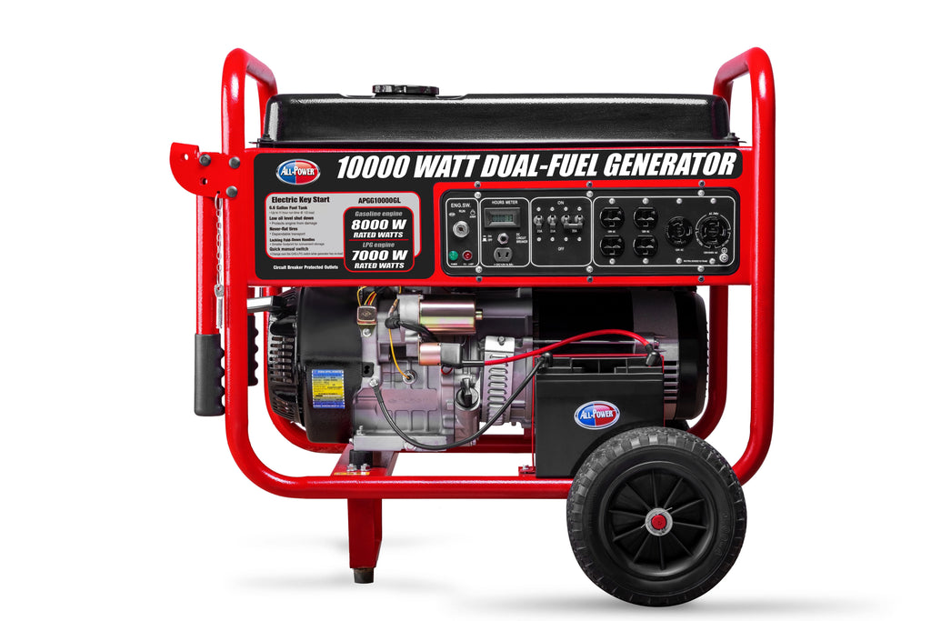 10000 Watt Dual Fuel Portable Generator with Electric Start I207