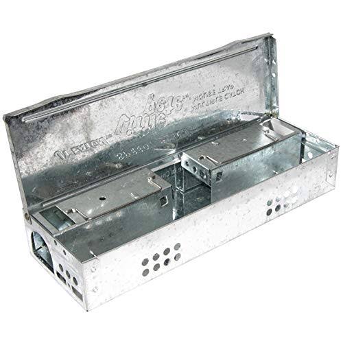 Multiple Catch Mouse Trap (Pack of 12) V344383