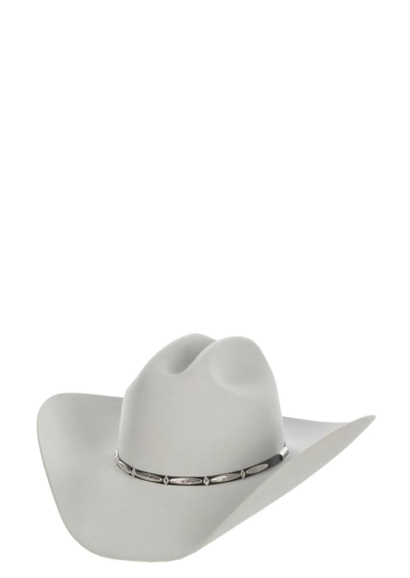 Silver Grey Felt Hat E44153