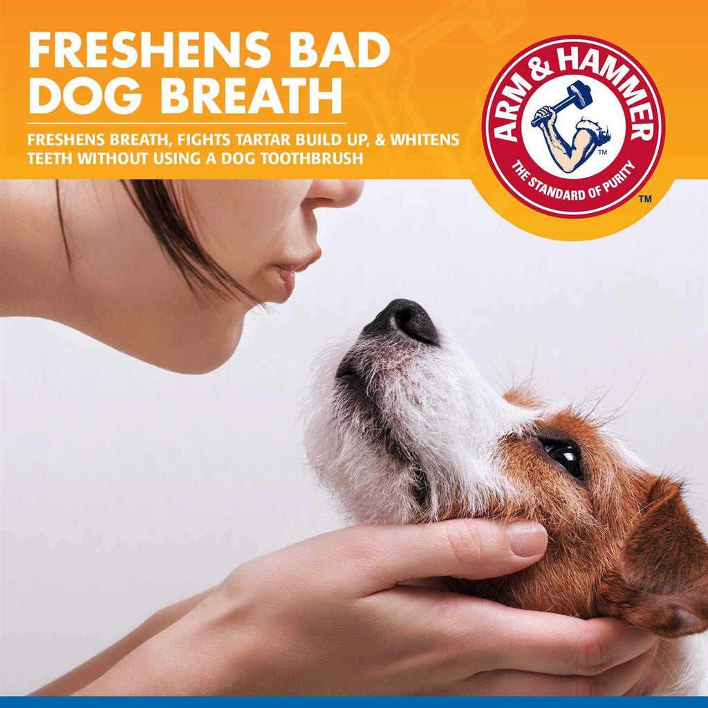 Tartar Control Dental Spray for Dogs Y12413