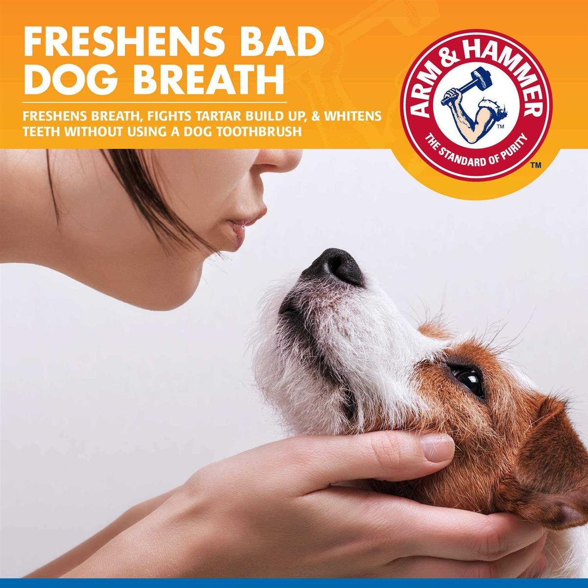 Tartar Control Dental Spray for Dogs Y12413