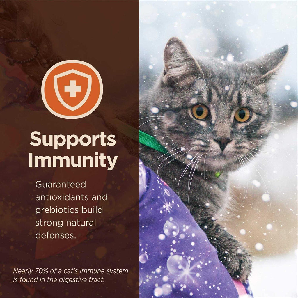 Wet Cat Food N211407