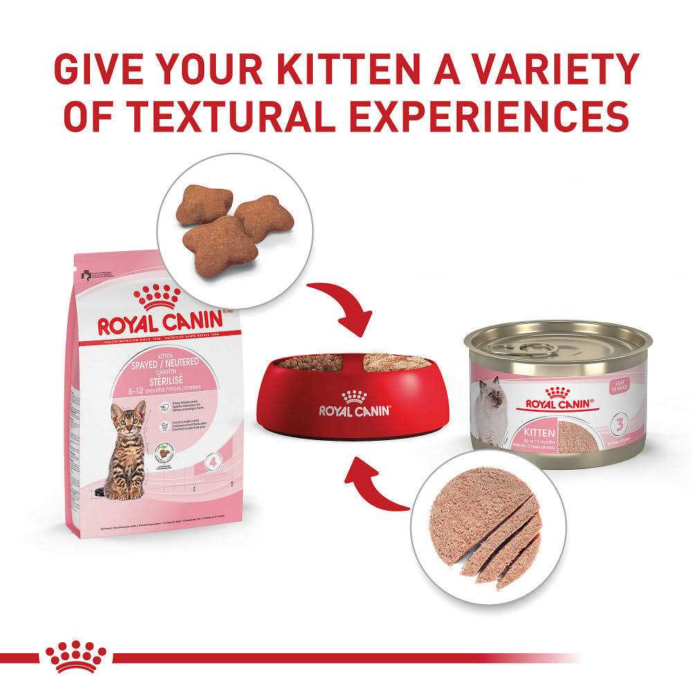 Kitten Spayed/Neutered Dry Cat Food N145895