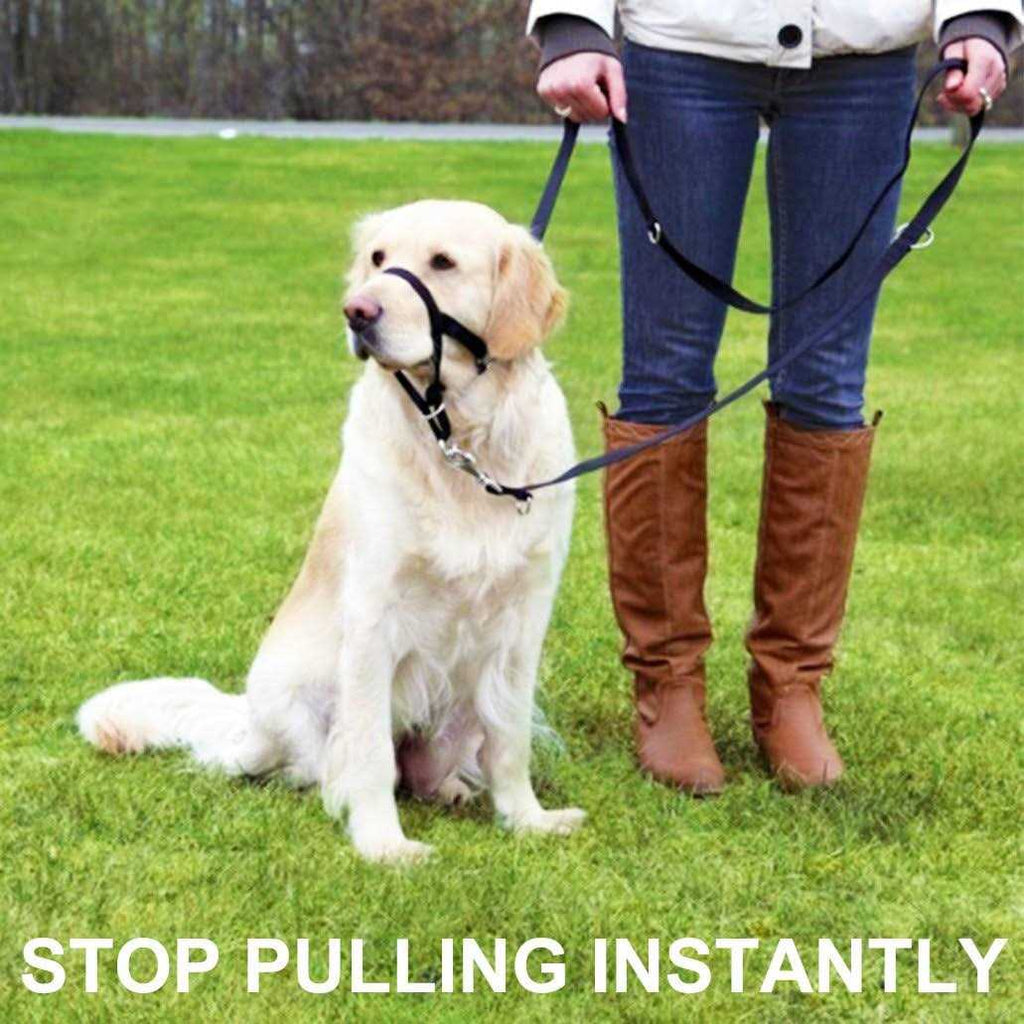 Dog Head Collar No Pull Training Tool I910627